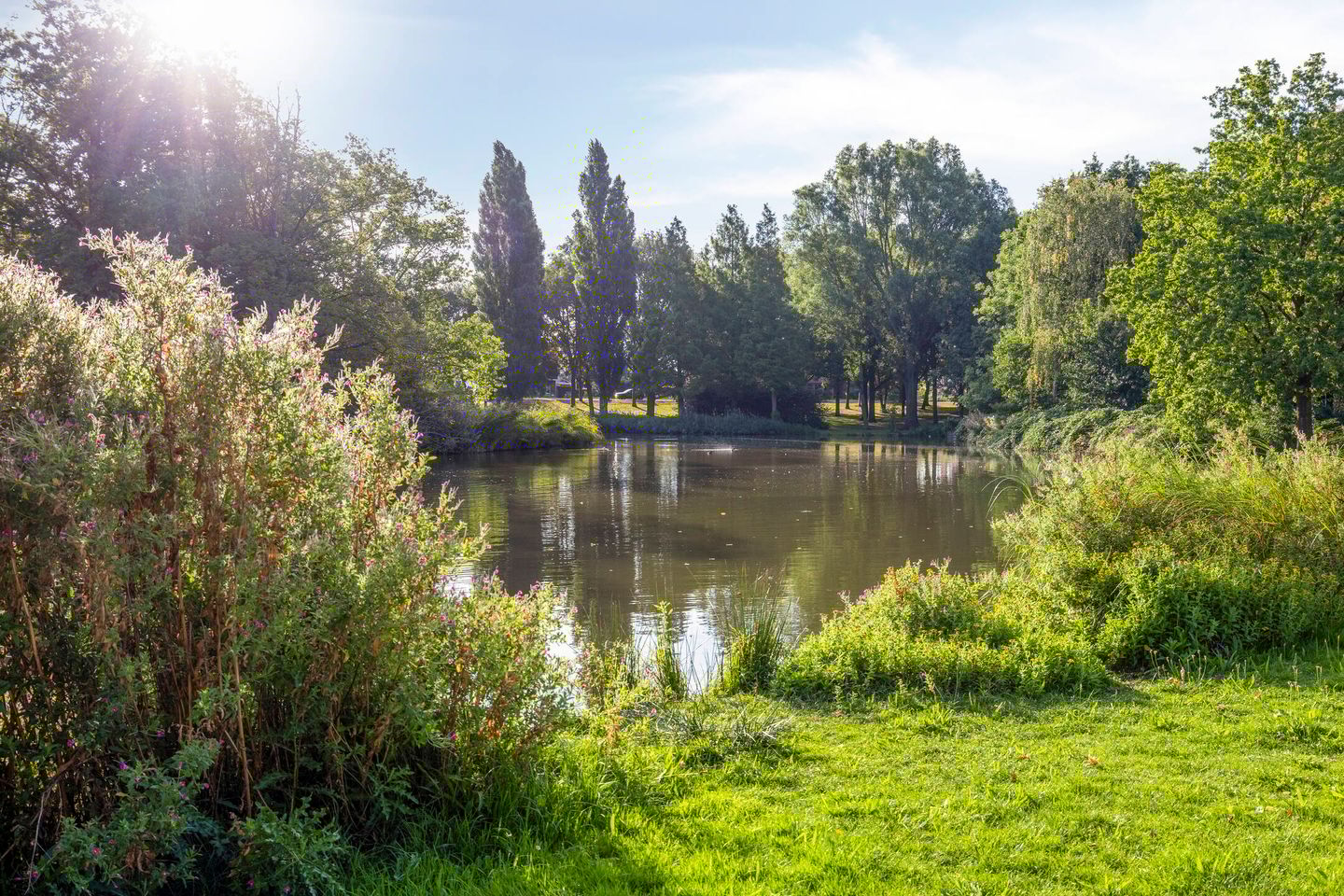 Photo 34 of Boekweitveld 4