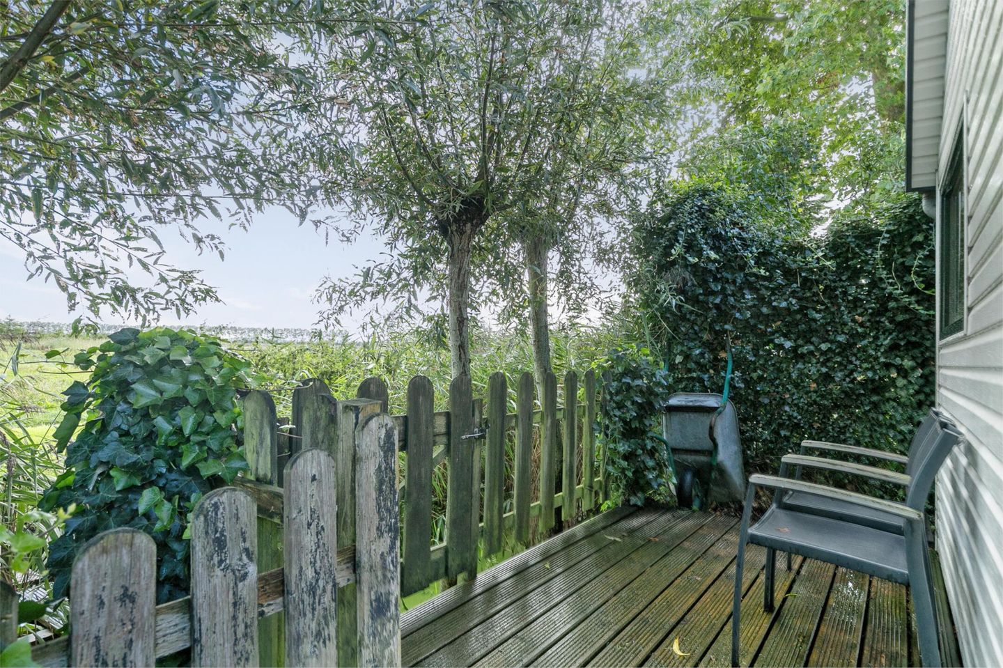 Photo 50 of Dorpsdijk 5