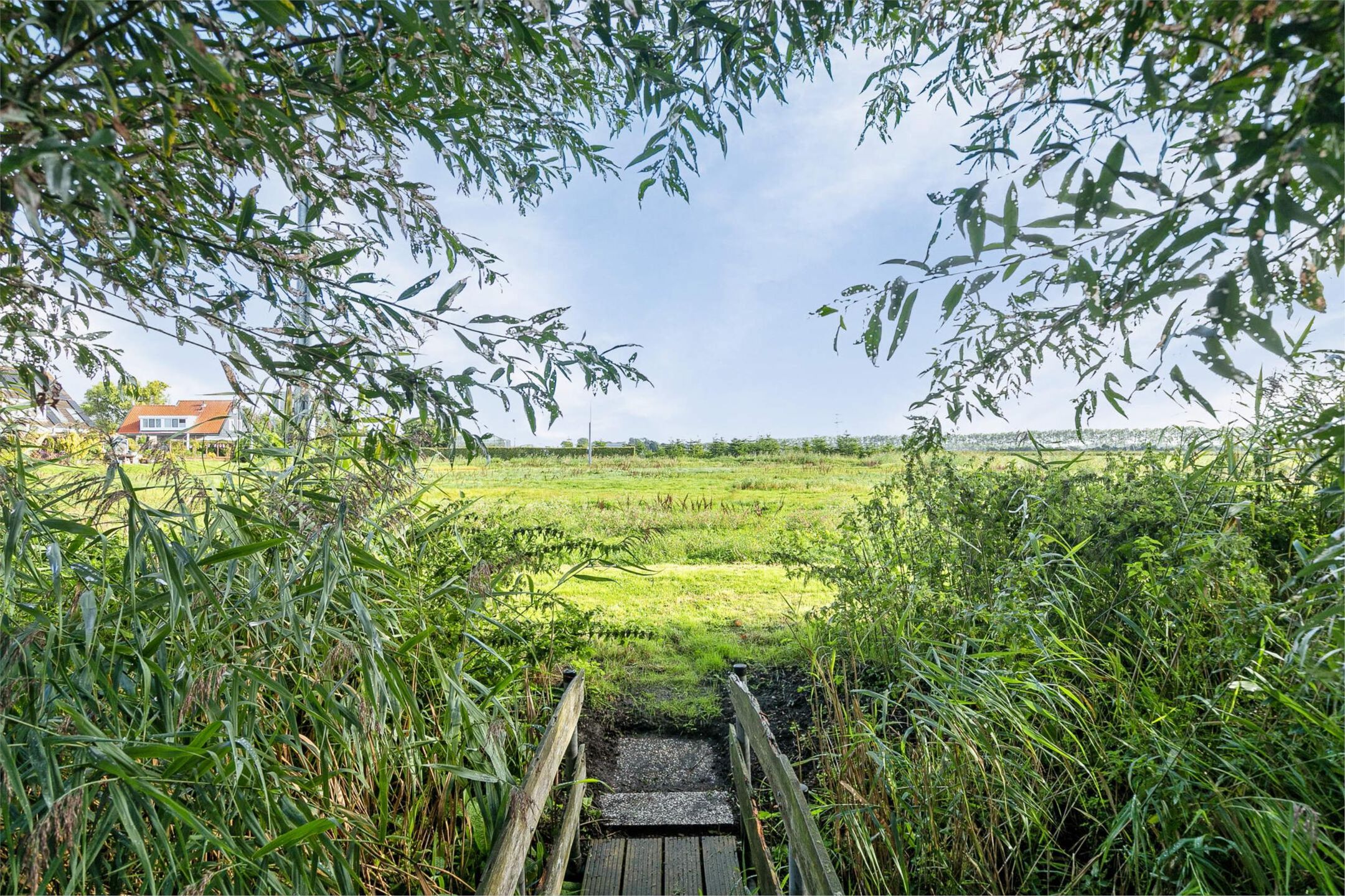 Photo 51 of Dorpsdijk 5