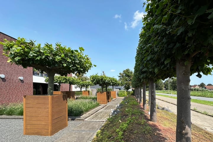 Foto 12 van Coenecoop 146