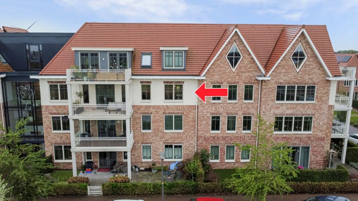 Photo 6 of Palissanderhout 100