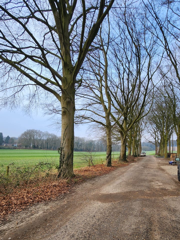 Foto 9 van Johannahoeve 1