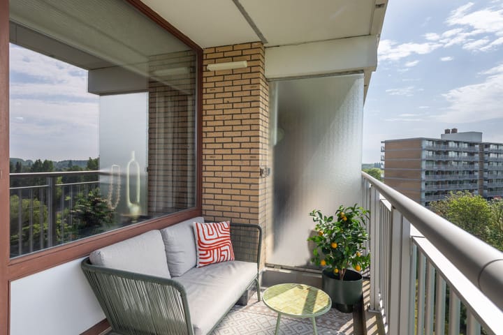 Foto 15 van Seringenplantsoen 355