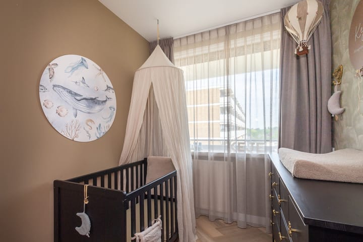 Foto 21 van Seringenplantsoen 355