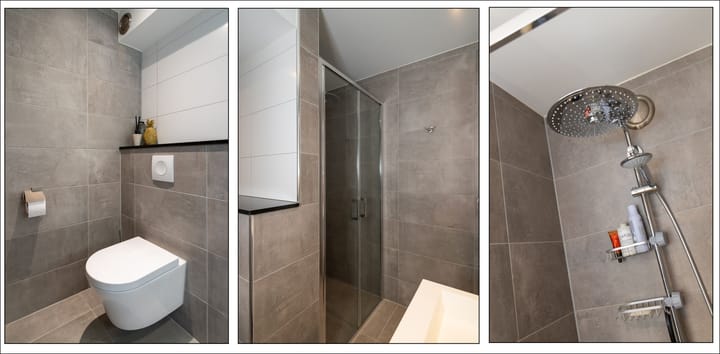 Foto 24 van Seringenplantsoen 355