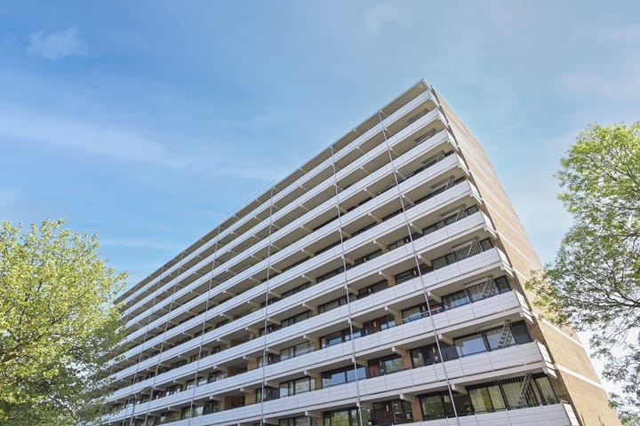 Foto 25 van Seringenplantsoen 355