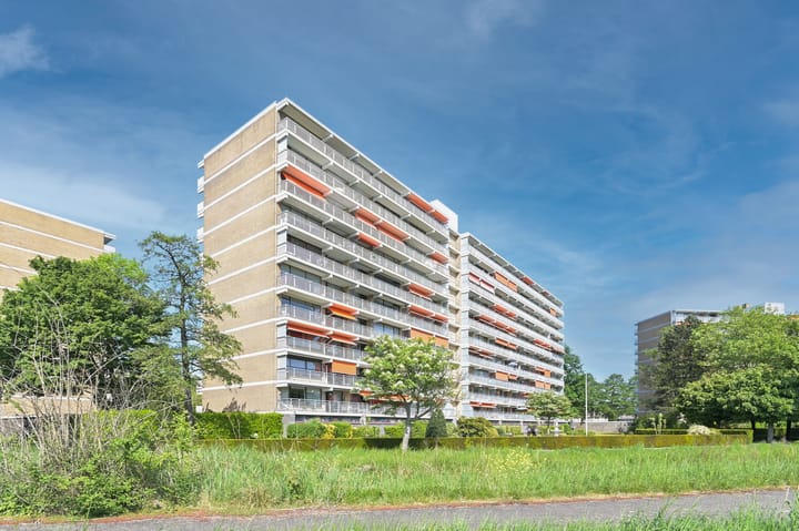 Foto 27 van Seringenplantsoen 355