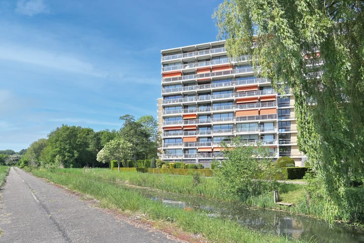 Foto 28 van Seringenplantsoen 355