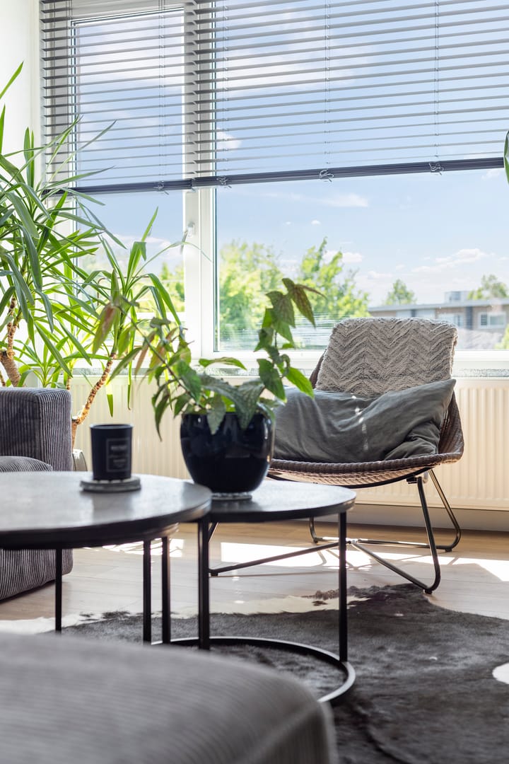 Foto 15 van Vondellaan 54