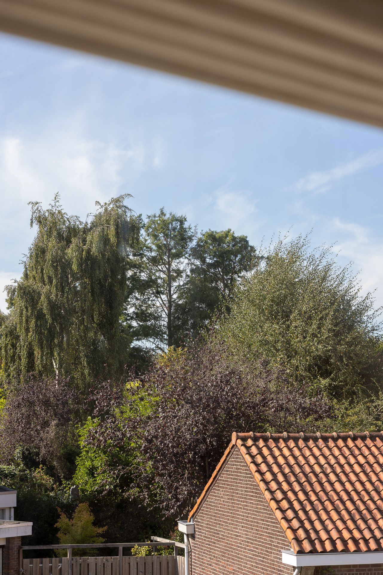 Foto 20 van Heijbergstraat 7