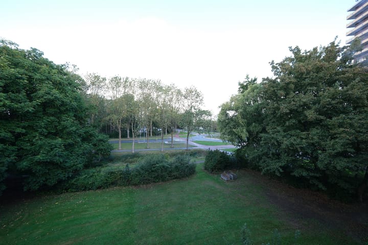 Photo 15 of Thorbeckestraat 304