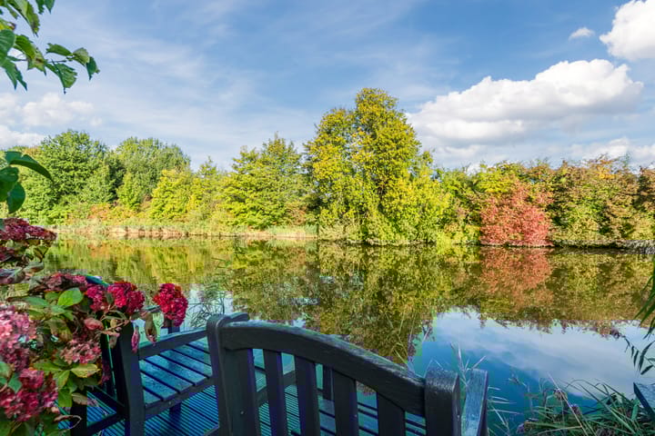 Photo 34 of Molengroet 1 501