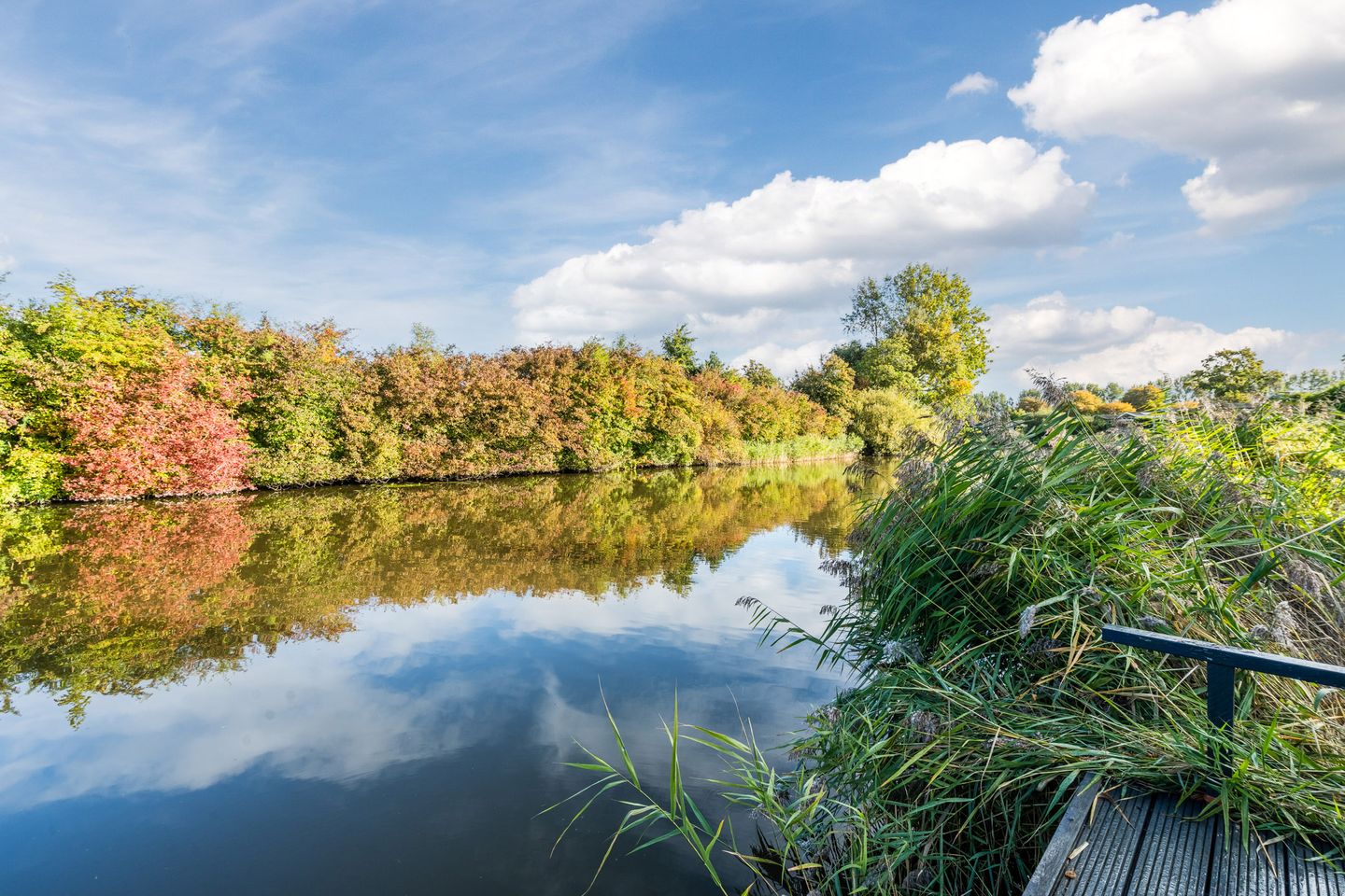 Foto 35 van Molengroet 1 501