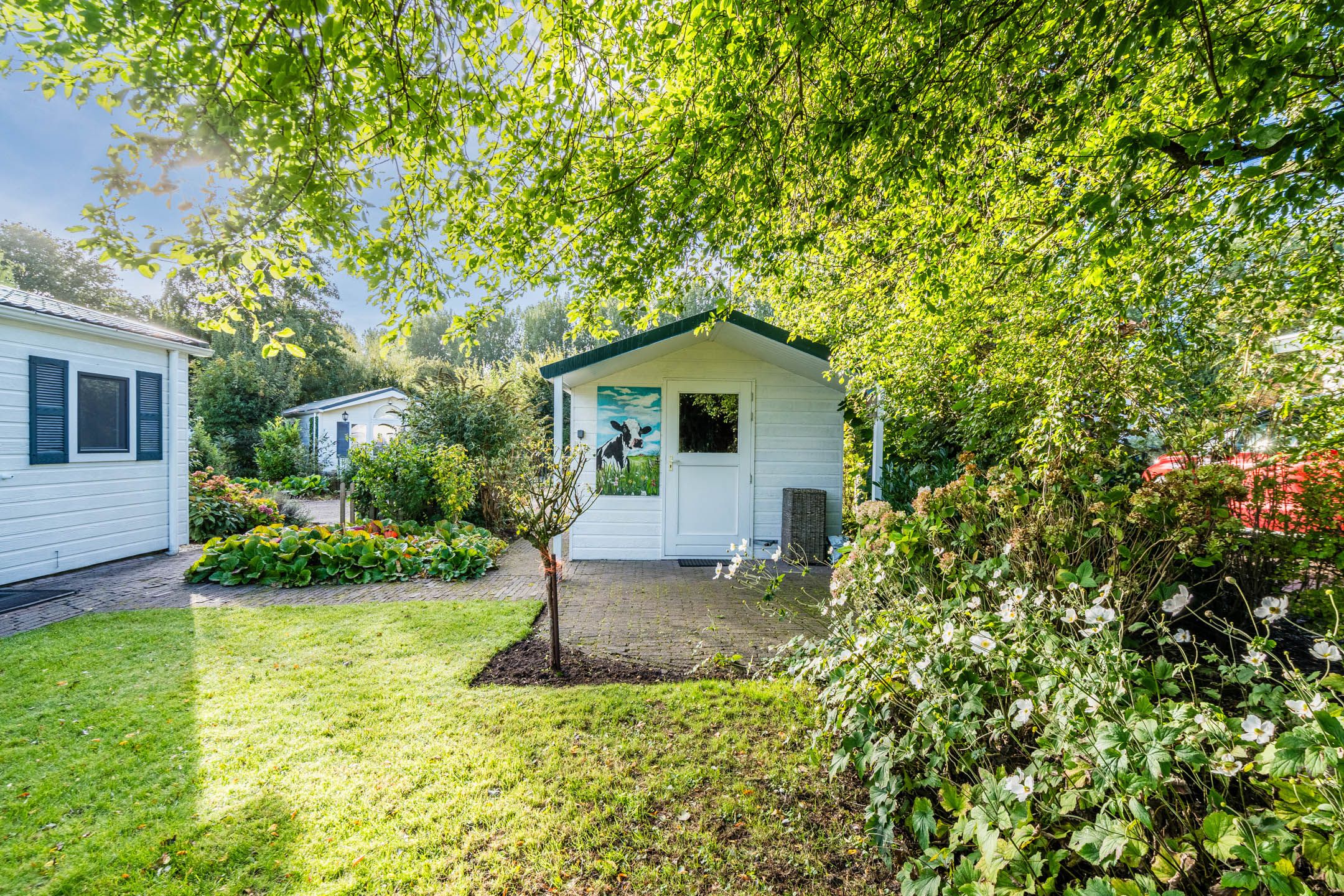 Foto 39 van Molengroet 1 501