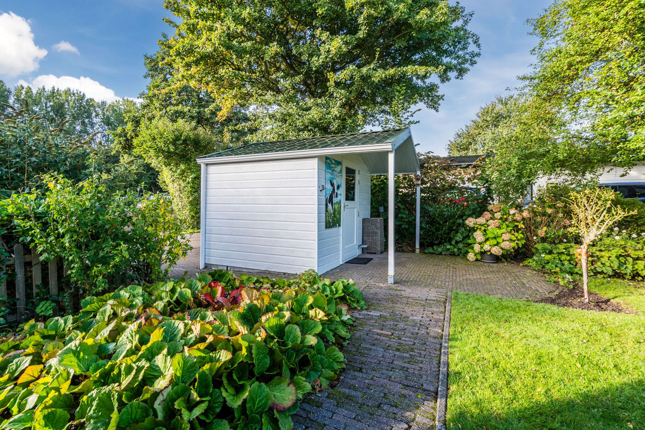 Foto 42 van Molengroet 1 501