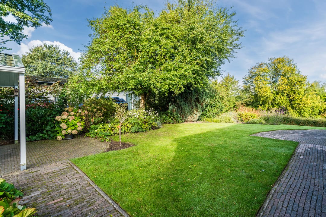 Foto 43 van Molengroet 1 501