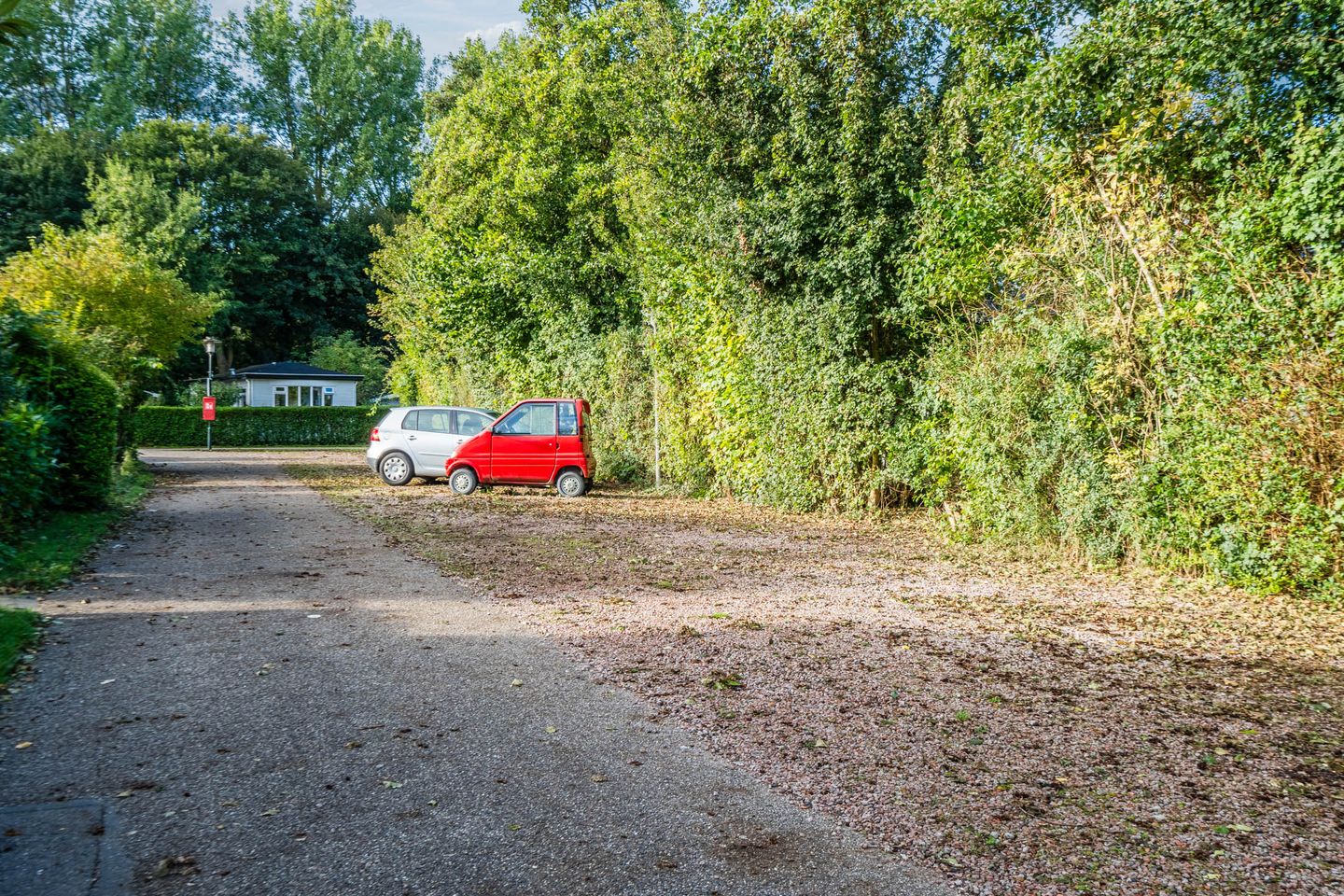 Foto 50 van Molengroet 1 501