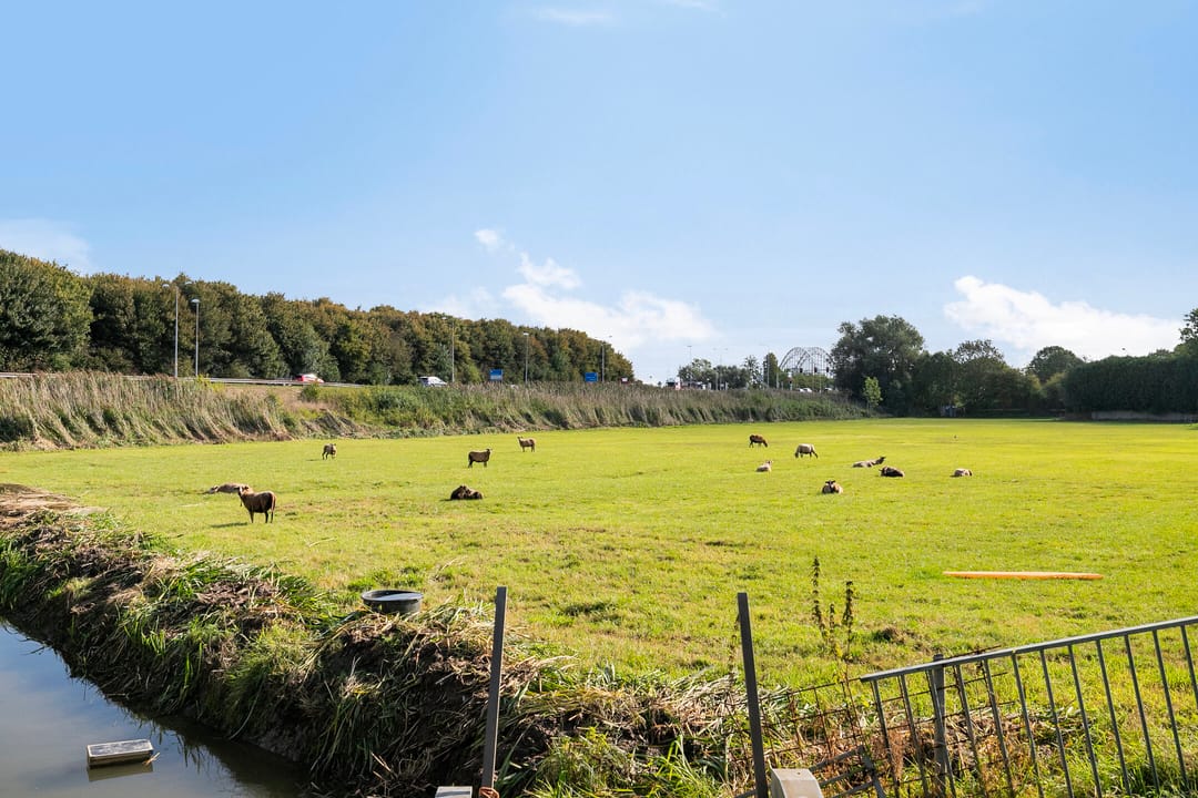 Foto 38 van Damweg 10