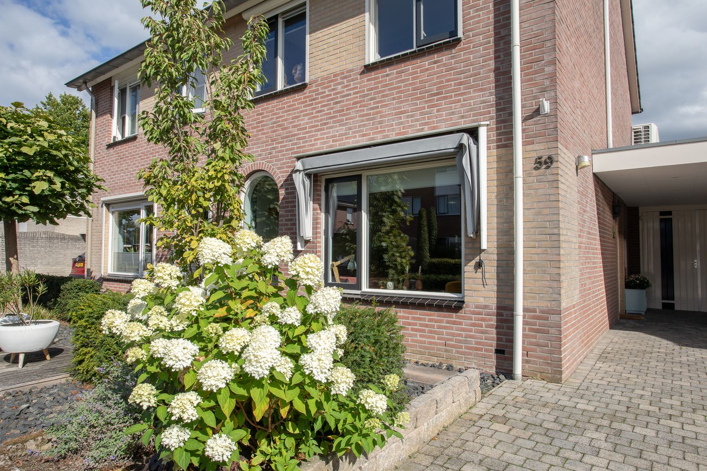 Photo 55 of De Plevier 59