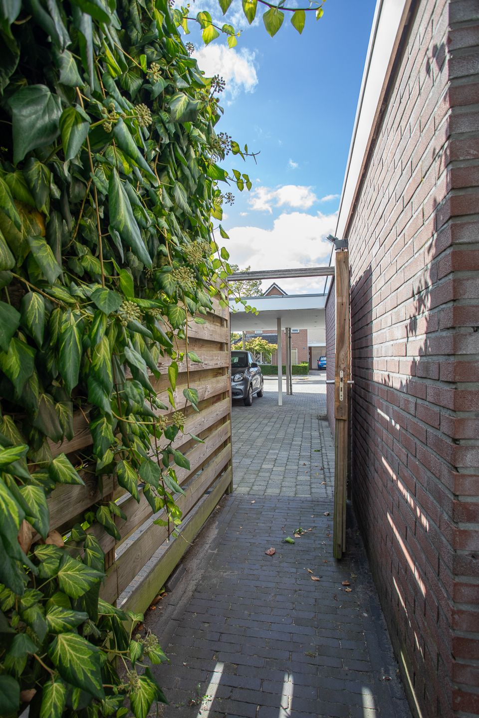 Photo 50 of De Plevier 59