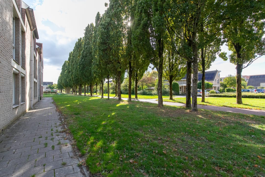 Foto 28 van Korte Loef 18