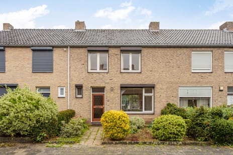 undefined main image