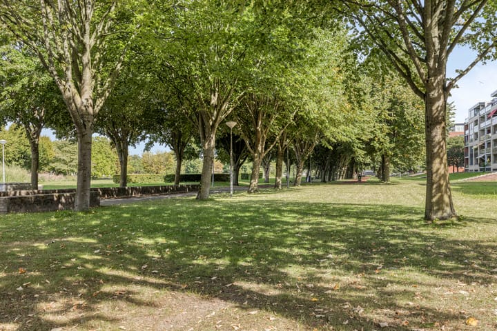 Foto 41 van Zonhovenstraat 26