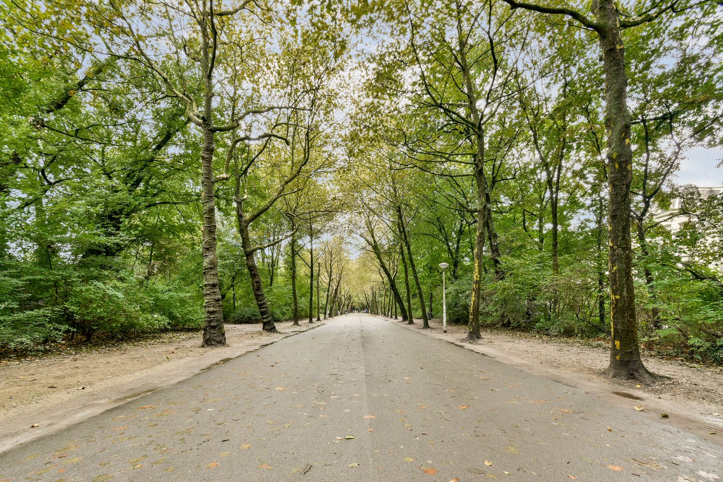 Foto 29 van Saxenburgerdwarsstraat 7-O