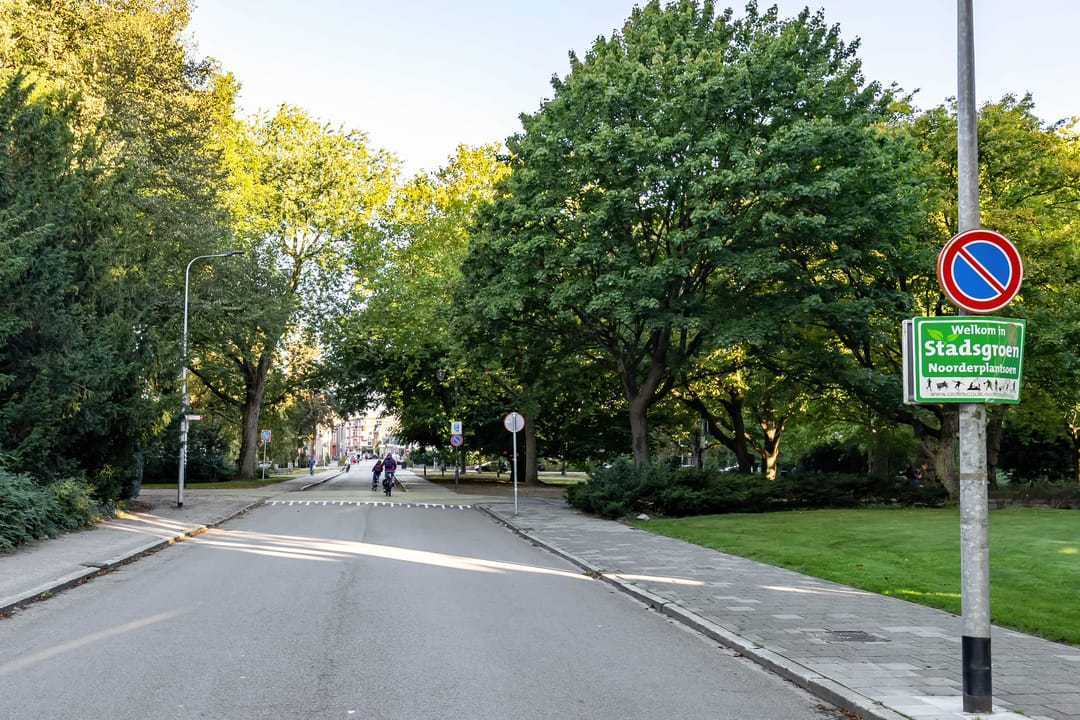 Foto 7 van Noorderbinnensingel 59-1