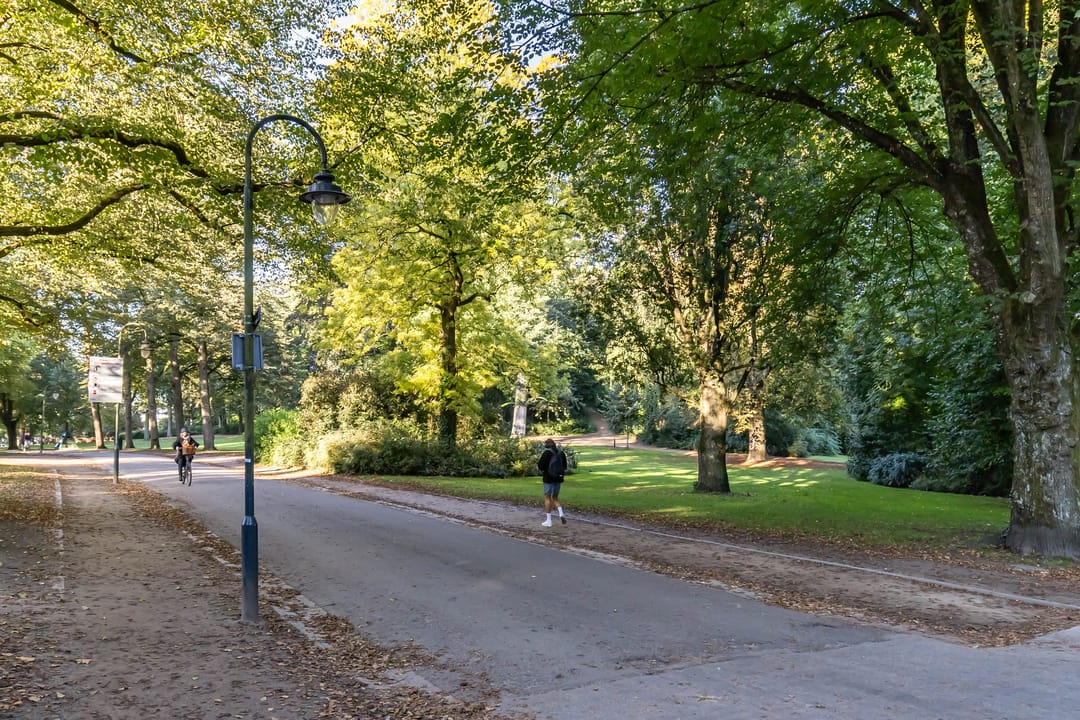 Foto 37 van Noorderbinnensingel 59-1