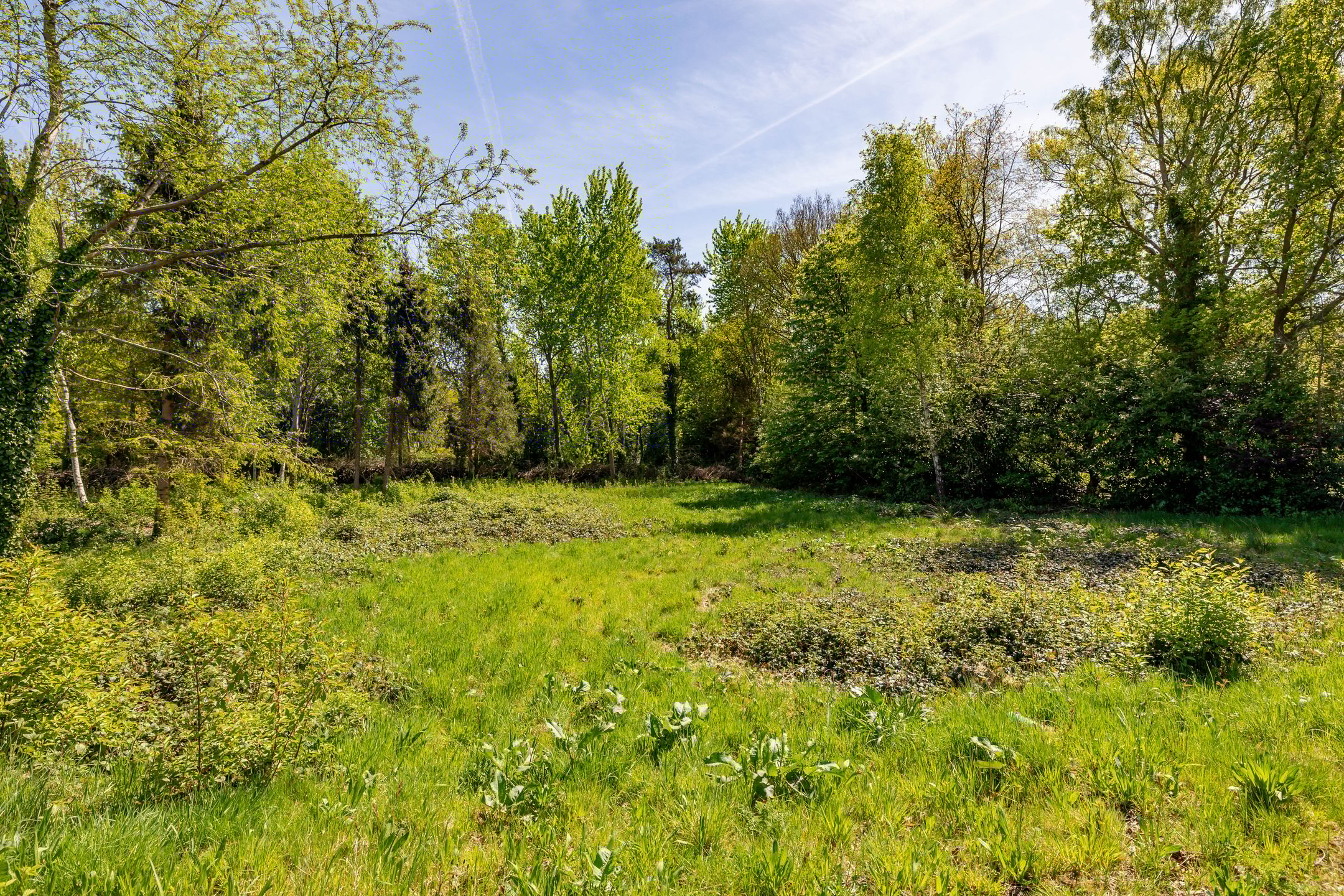 Foto 45 van Het Hooge Veld 9