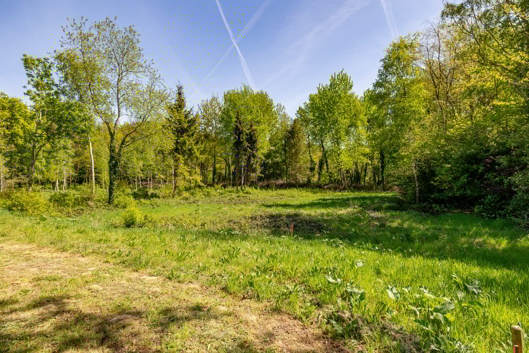 Foto 46 van Het Hooge Veld 9