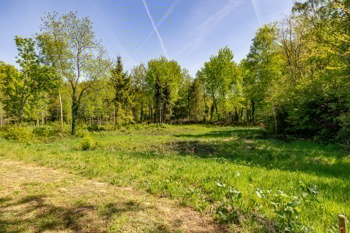 Foto 46 van Het Hooge Veld 9