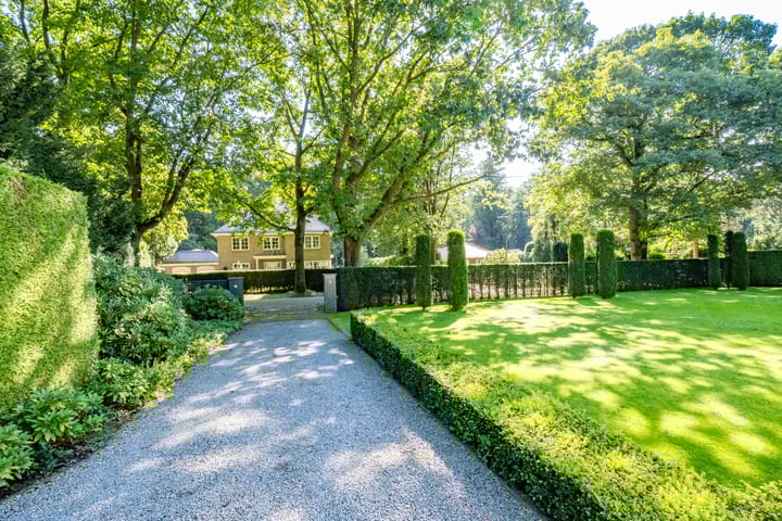 Photo 51 of Vossenlaan 33