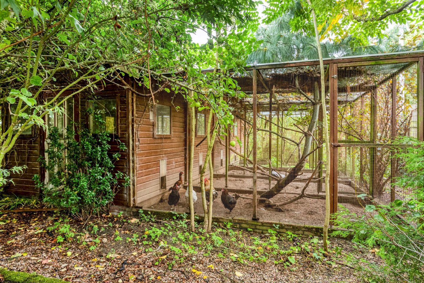 Photo 29 of Schoolstraat 146