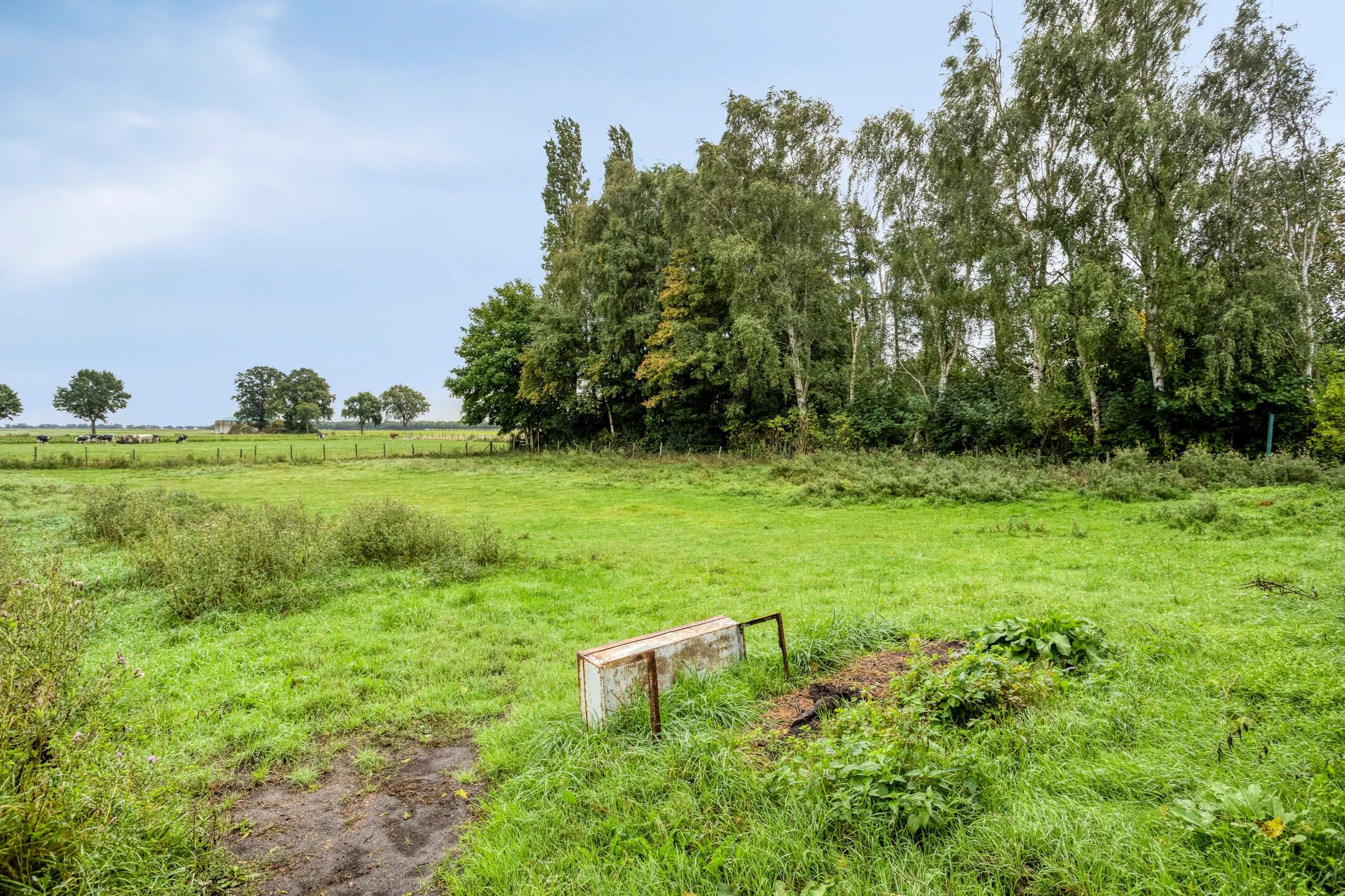 Photo 33 of Schoolstraat 146