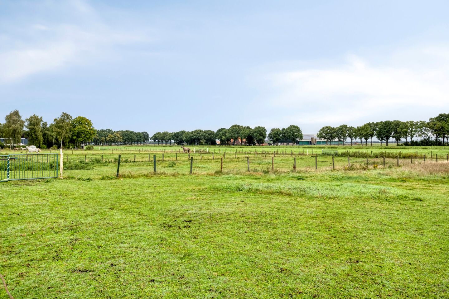 Photo 34 of Schoolstraat 146