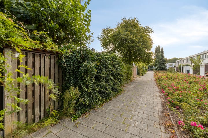 Foto 4 van Dardanuspad 14