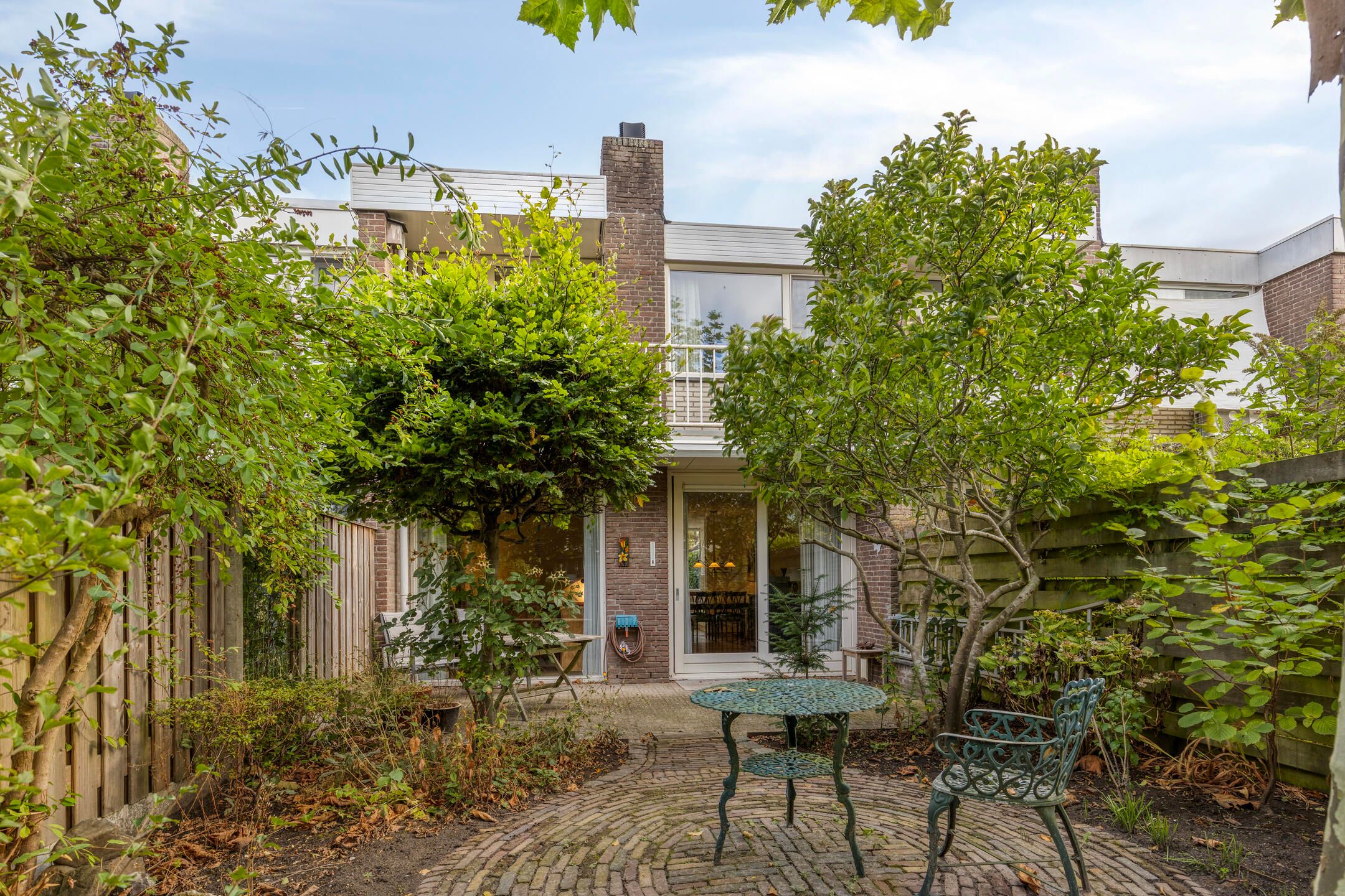 Photo 6 of Dardanuspad 14