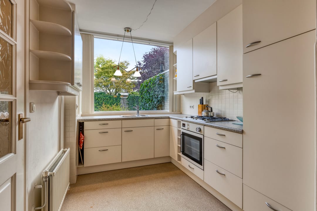 Photo 11 of Dardanuspad 14