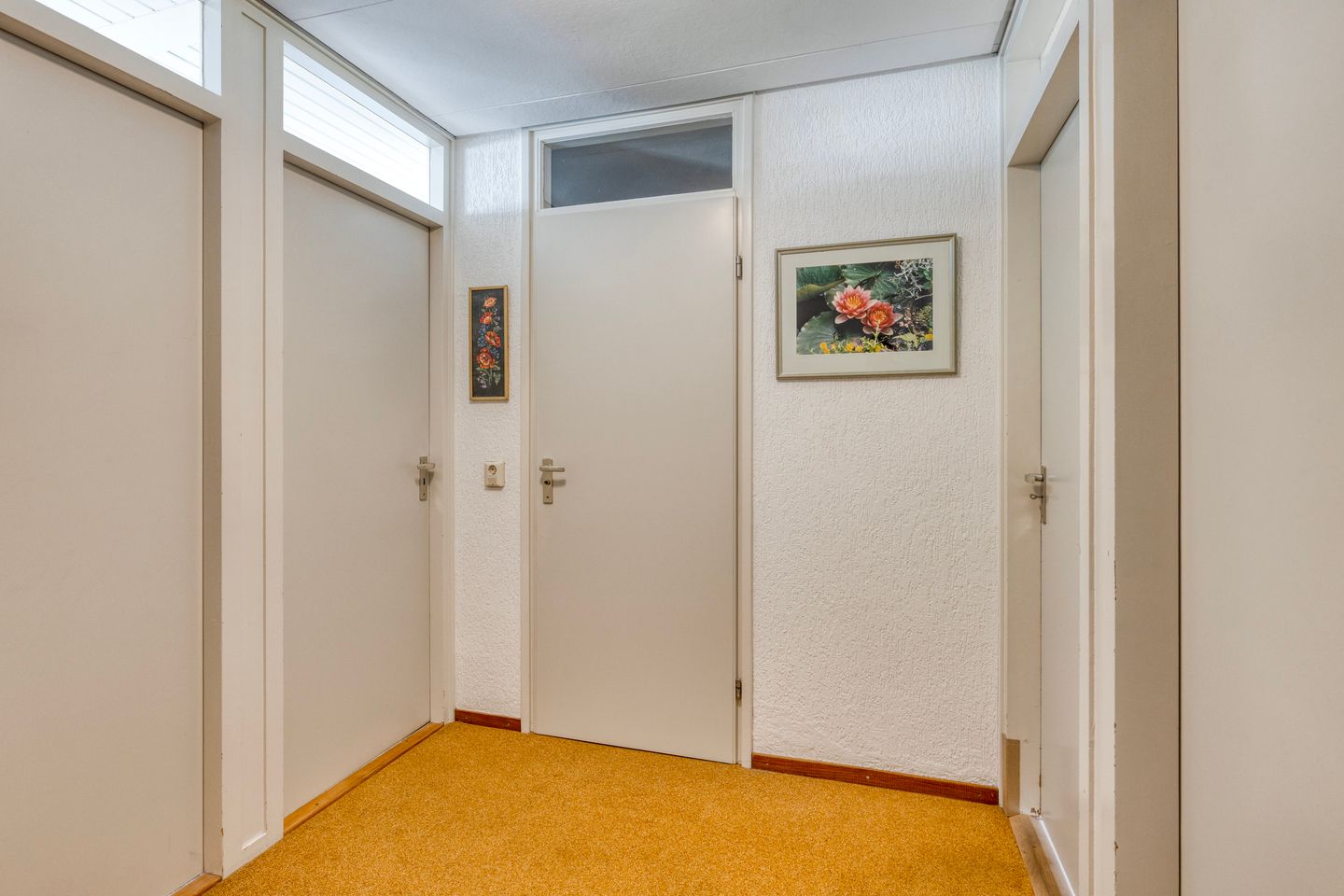 Photo 14 of Dardanuspad 14