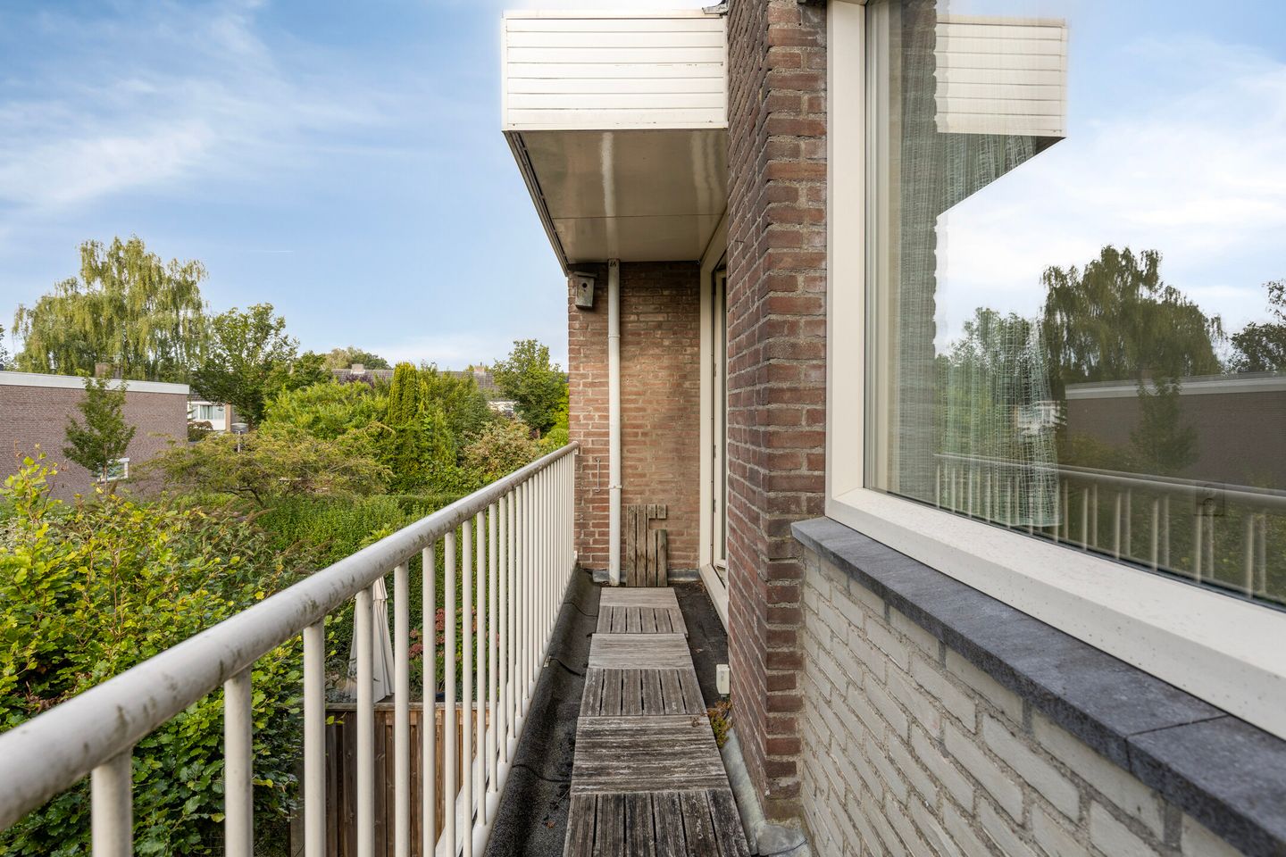 Photo 19 of Dardanuspad 14