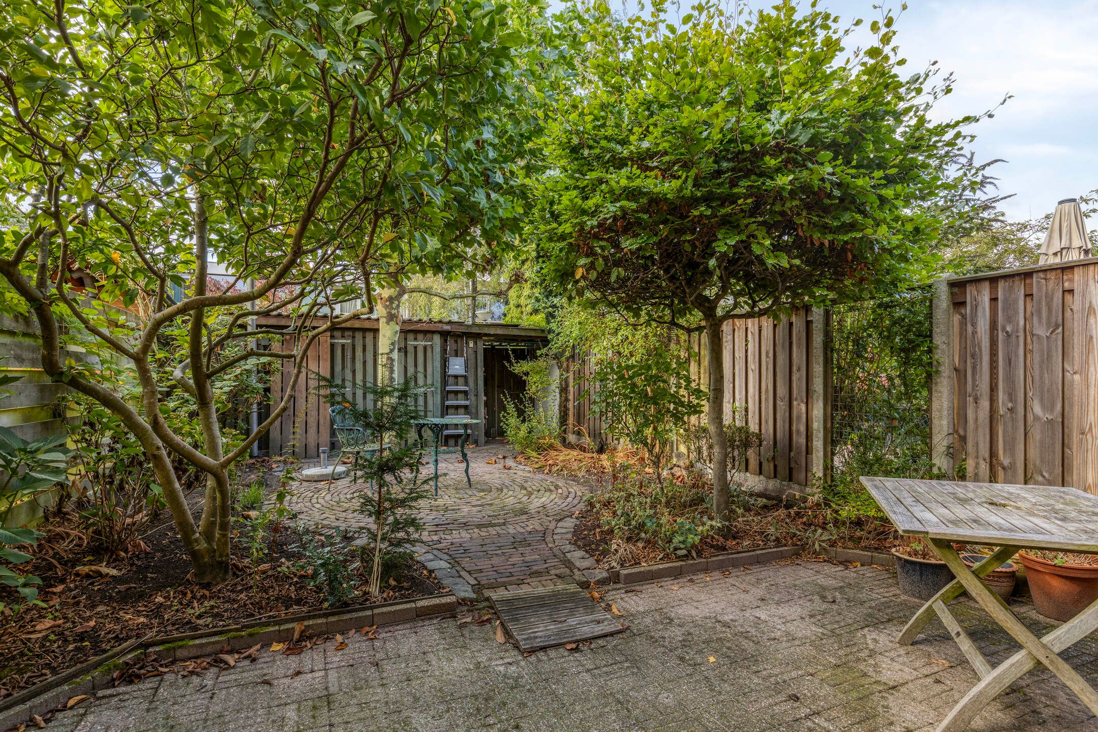 Photo 24 of Dardanuspad 14