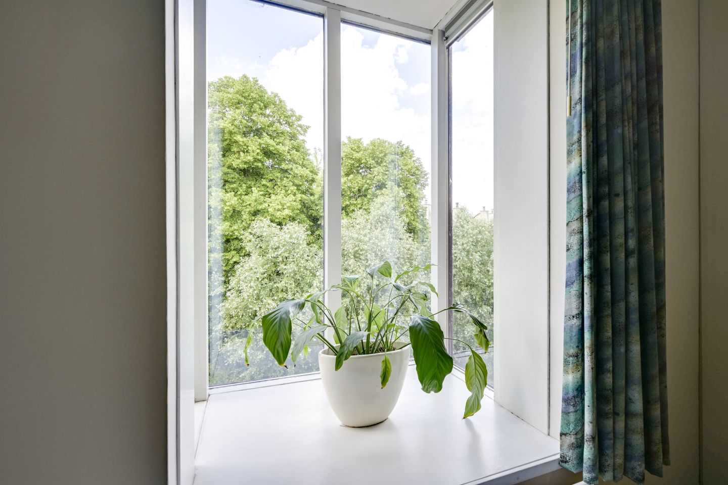 Foto 50 van Barmsijs 36