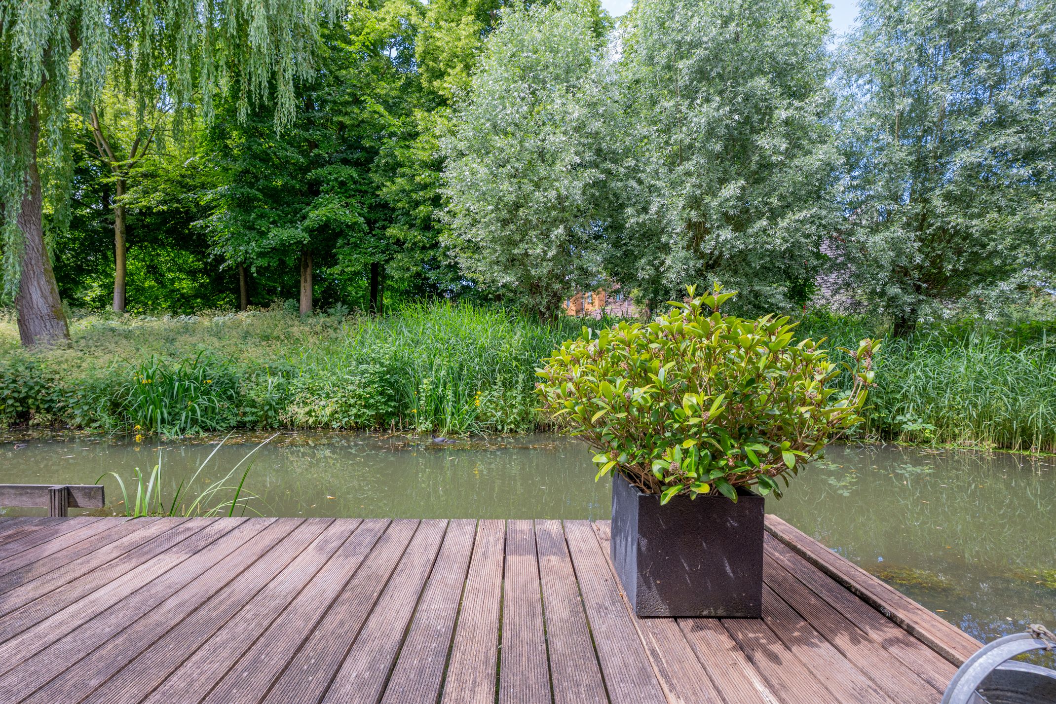 Foto 75 van Barmsijs 36