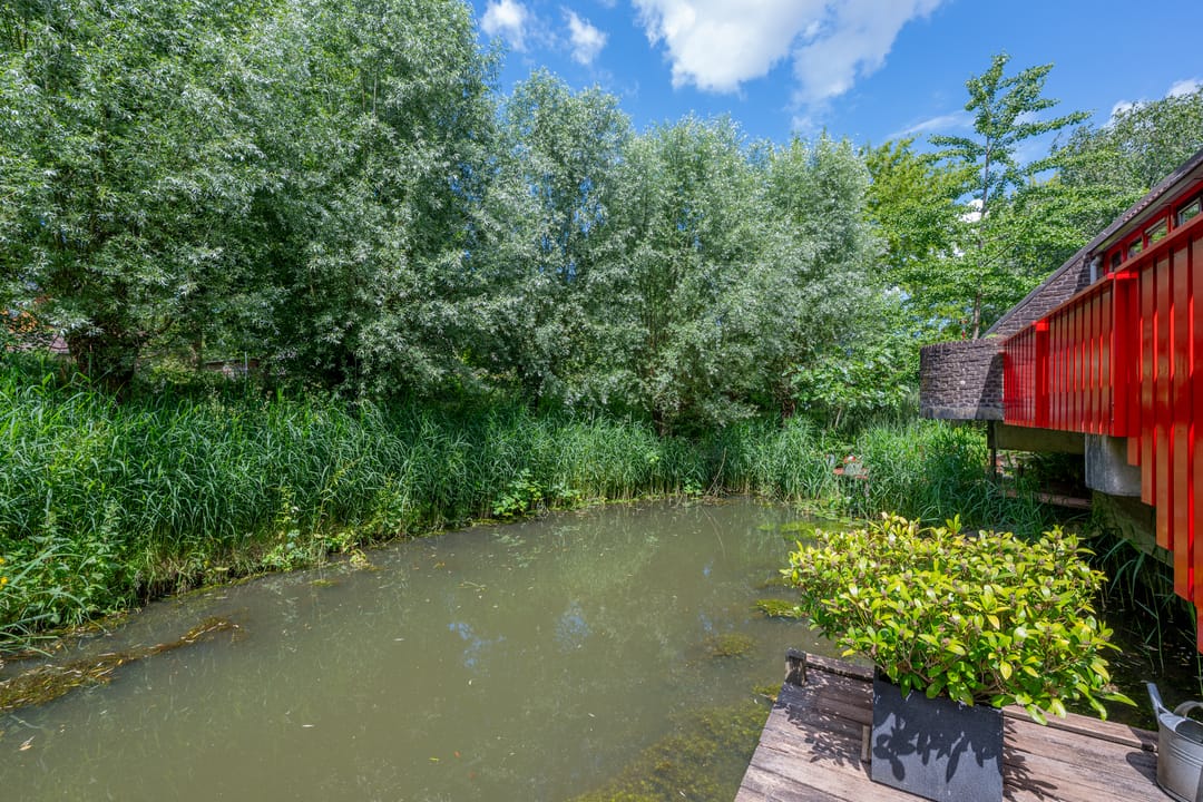 Foto 76 van Barmsijs 36