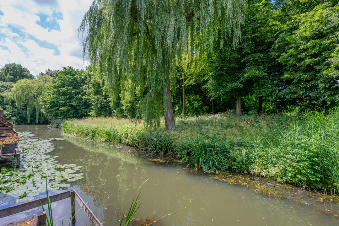 Foto 77 van Barmsijs 36