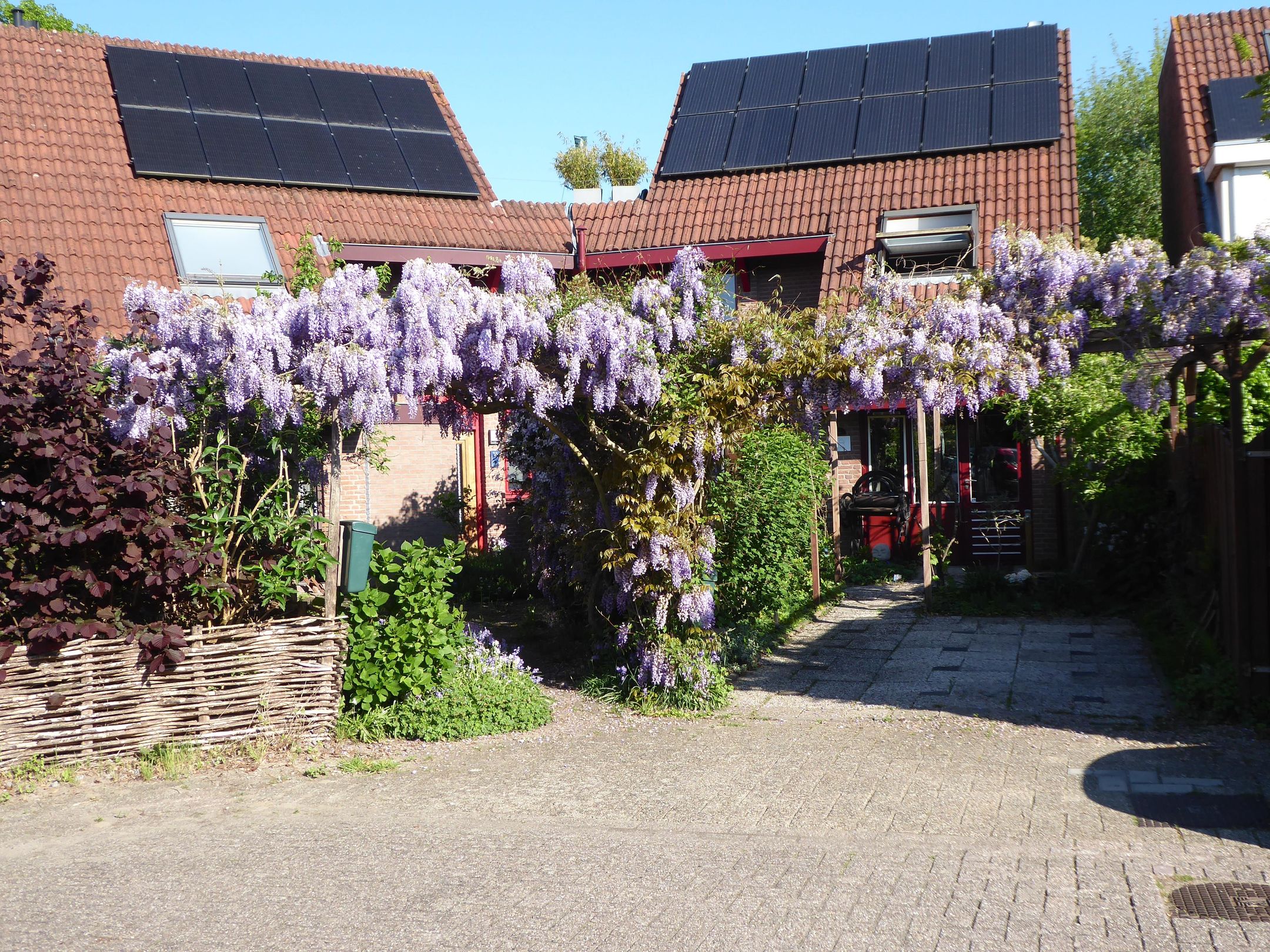 Foto 78 van Barmsijs 36