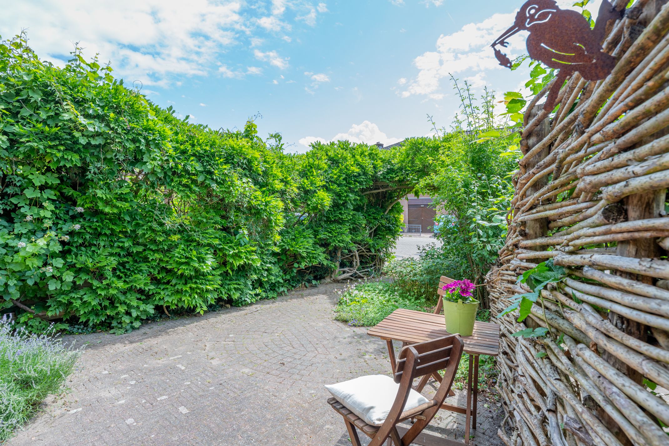 Foto 81 van Barmsijs 36