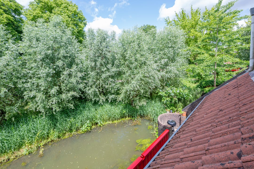 Foto 86 van Barmsijs 36